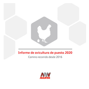 INFORM3-2020-avicultura-puesta.png