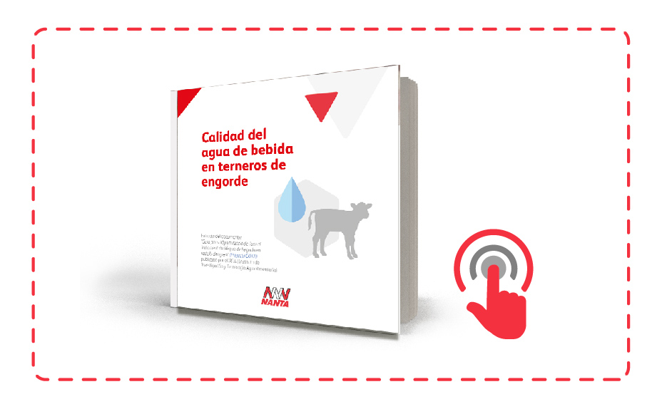 Banner Descarga Guia Agua Terneros de Engorde.jpg