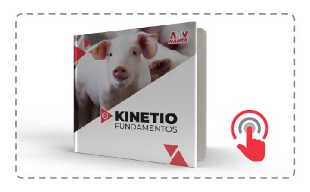 libroblanco_kinetio.jpg