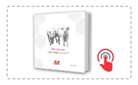 libro_blanco_zno (1).jpg